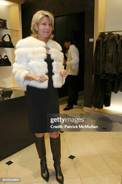 Christine Schwarzman attends Dennis Basso Hosts Cocktail Reception to Benefit The Society of Memorial Sloan-Kettering Cancer Center at Dennis Basso...