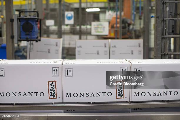 Boxes of Roundup weed killer bottles move along the production line at the herbicide manufacturing facility operated by Monsanto Co. In Antwerp,...