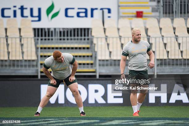 Kitshoff Springboks Steven Kitshoff Photos and Premium High Res Pictures - Getty Images