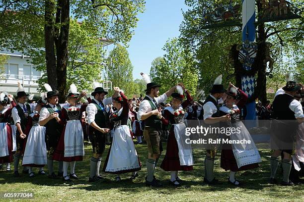 deutschland-bayern. brauchtum und tradition. tanz in den mai, die münchner francaise. - maibaum münchen stock-fotos und bilder