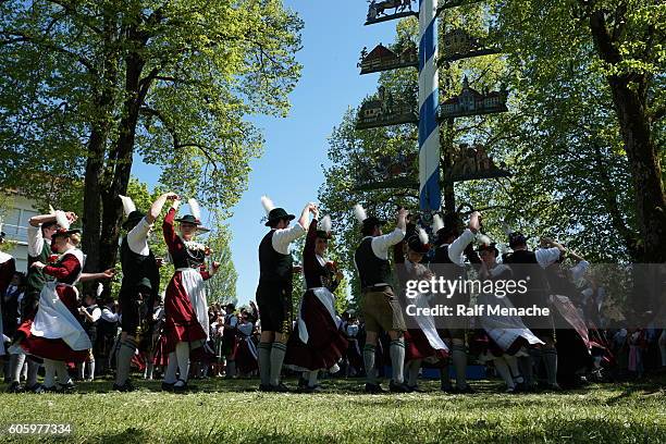 deutschland-bayern. brauchtum und tradition. tanz in den mai, die münchner francaise. - maibaum münchen stock-fotos und bilder