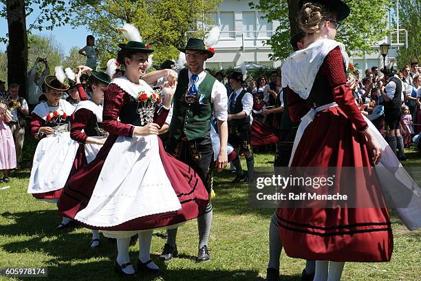 deutschland-bayern. brauchtum und tradition. tanz in den mai, die münchner francaise. - maibaum münchen stock-fotos und bilder