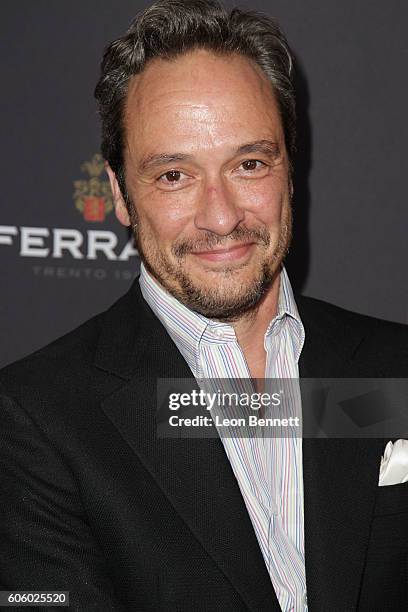 Devincentis 165 Dv Devincentis Stock Photos, High-Res Pictures, and Images - Getty ...