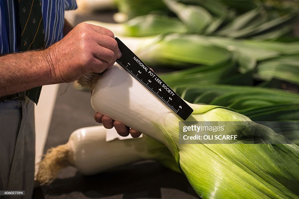 BRITAIN-LIFESTYLE-HORTICULTURE-FLOWER-SHOW