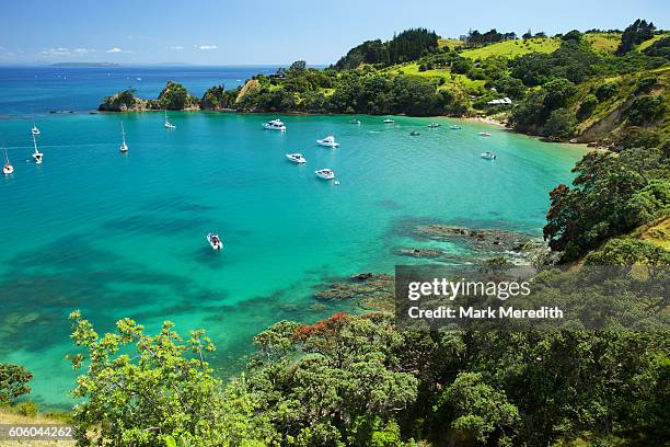 idyllic bay on rakino island near auckland in the hauraki gulf - auckland foto e immagini stock