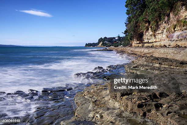 part of the north shore costal walkway at murrays bay which runs from long bay to devonport - north shore city stock pictures, royalty-free photos & images