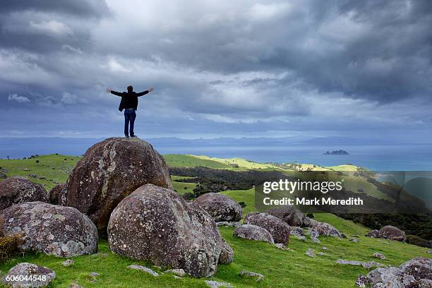 man embraces the view at stony batter reserve on waiheke island - waiheke island stock pictures, royalty-free photos & images
