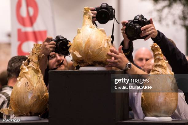 Press photographers take pictures of the podium of the winning onions in the Heaviest Onion Competition on the first day of the Harrogate Autumn...