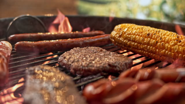 24,074 Barbecue Grill Stock Videos, Footage, & 4K Video Clips