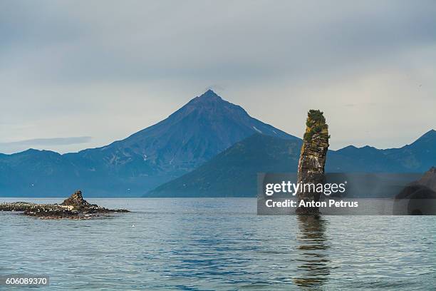 Stack Island Game Reserve Photos and Premium High Res Pictures - Getty ...