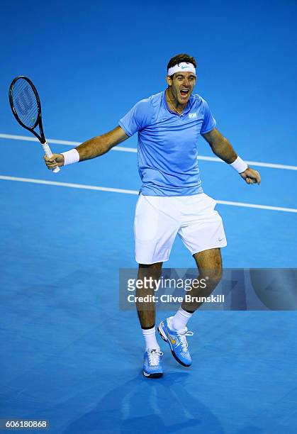 Juan Martin del Potro of Argentina celebrates match point during his singles match against Andy Murray of Great Britain during day one of the Davis...