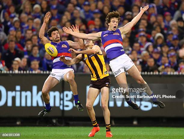 Liam Picken of the Bulldogs is pushed by Isaac Smith of the Hawks and recieves a free kick as he competes for the ball with Tom Liberatore of the...