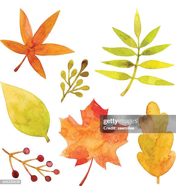 81点のポプラの葉イラスト素材 Getty Images 81点のポプラの葉イラスト素材 Getty Images