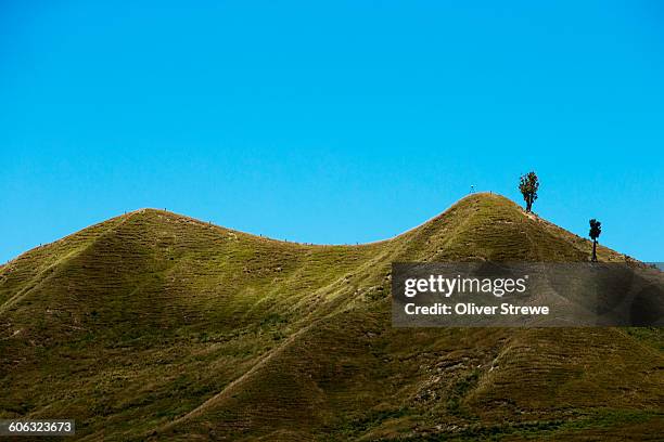 saddleback ridge - hawkes bay region fotografías e imágenes de stock