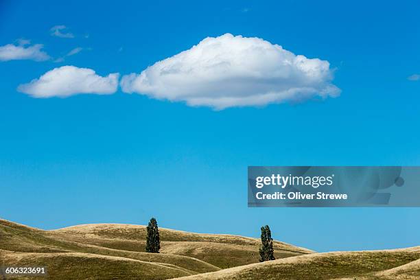 rolling hills wairoa - hawkes bay region stock pictures, royalty-free photos & images