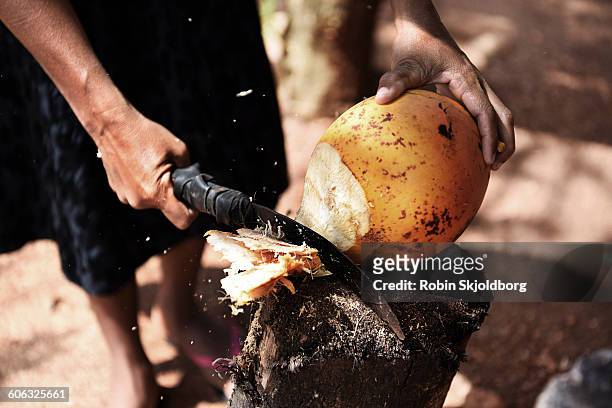 close up of hand with machete chopping coconut - machete stockfoto's en -beelden