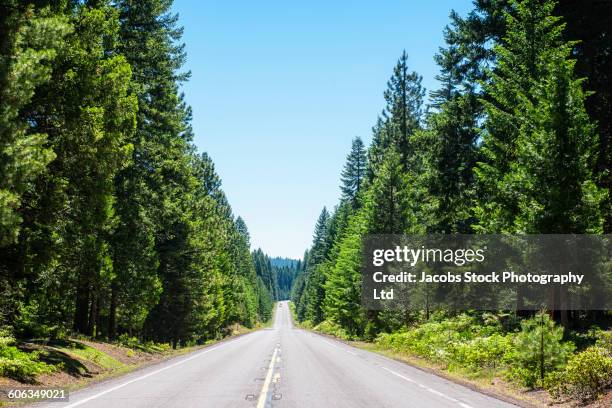 forest at empty road in remote landscape - redding california stock-fotos und bilder