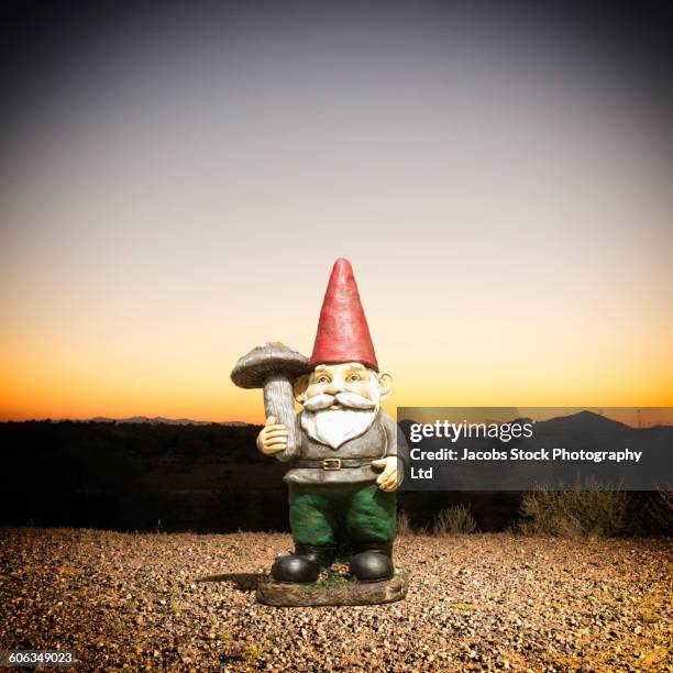 garden gnome in remote desert - spalding england stock pictures, royalty-free photos & images