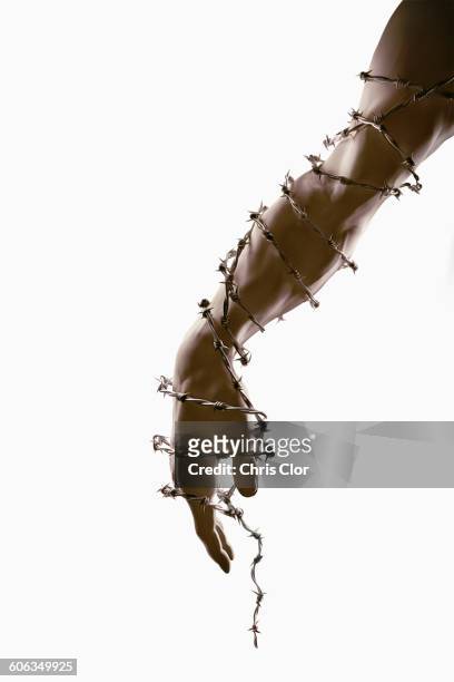 arm and hand wrapped in barbed wire - fil barbelé photos et images de collection