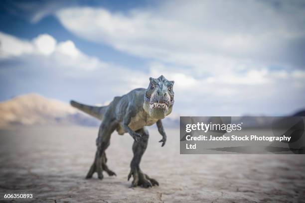 tyrannosaurus rex dinosaur in desert field - dinosauri foto e immagini stock