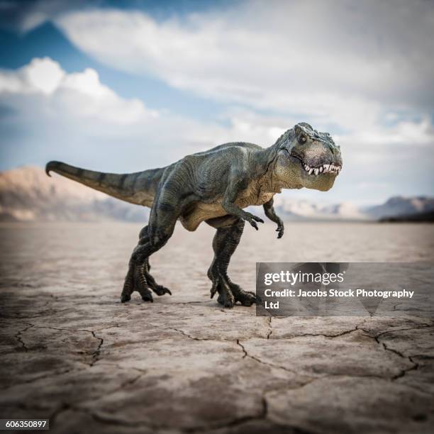 tyrannosaurus rex dinosaur in desert field - tyrannosaurus rex stock-fotos und bilder