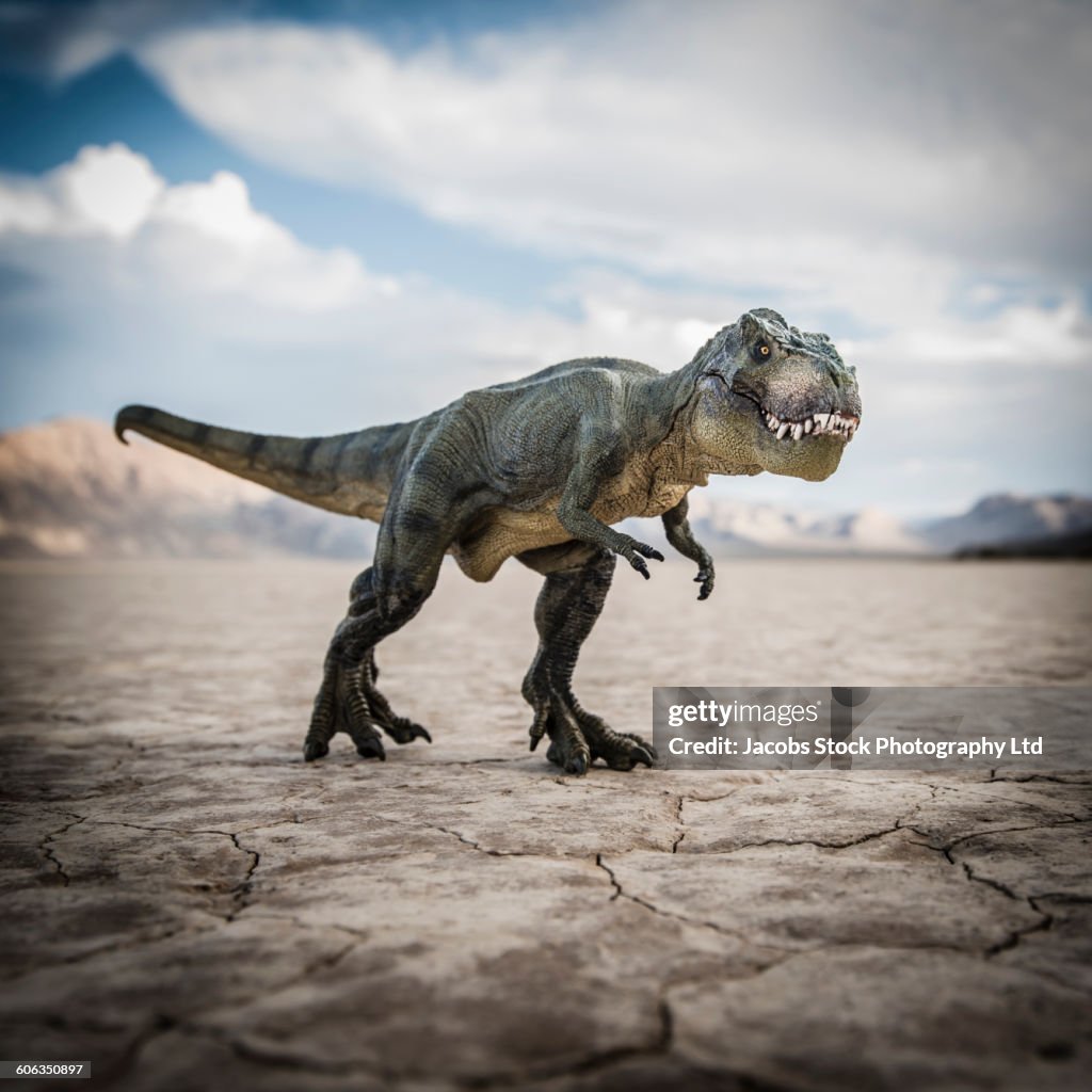 Trexc Tyrannosaurus Rex Dinosaur In Desert Field High-Res Stock Photo - Getty ...