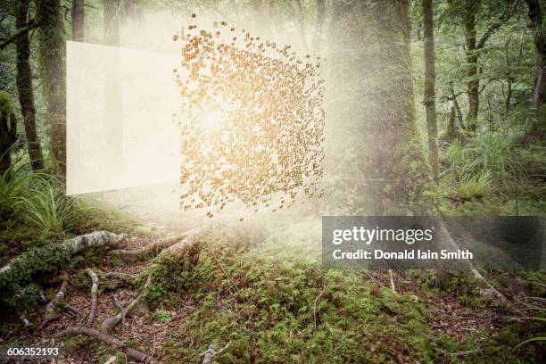 3,639 Exploding Trees Stock Photos, High-Res Pictures, and Images