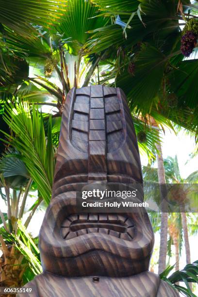 traditional sculpture and palm tree - totem imagens e fotografias de stock