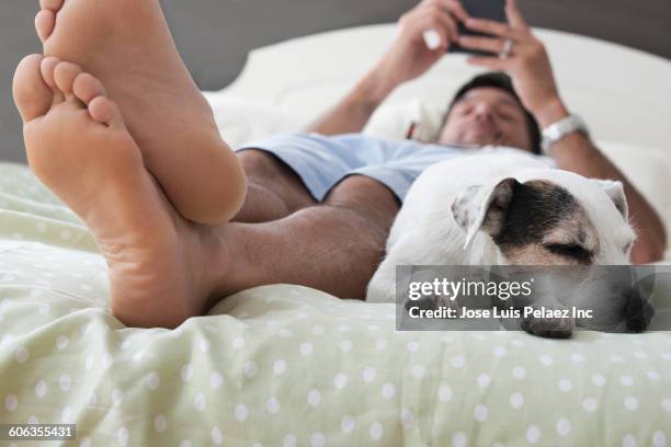 caucasian man laying with dog on bed - mobile phone reading low angle stock-fotos und bilder