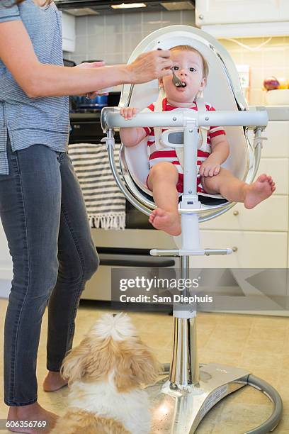 mixed race mother feeding baby outdoors - wellness kindness love stock pictures, royalty-free photos & images