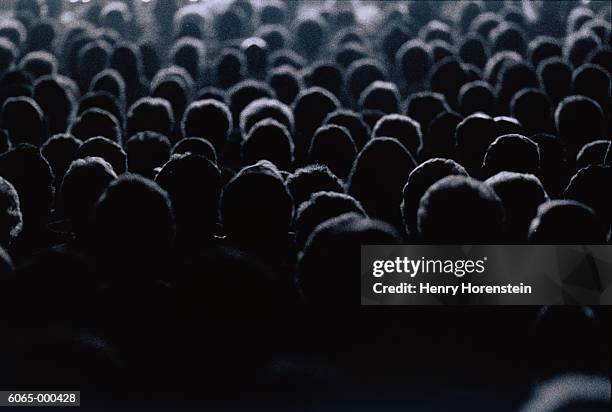 concert audience - abundancia fotografías e imágenes de stock