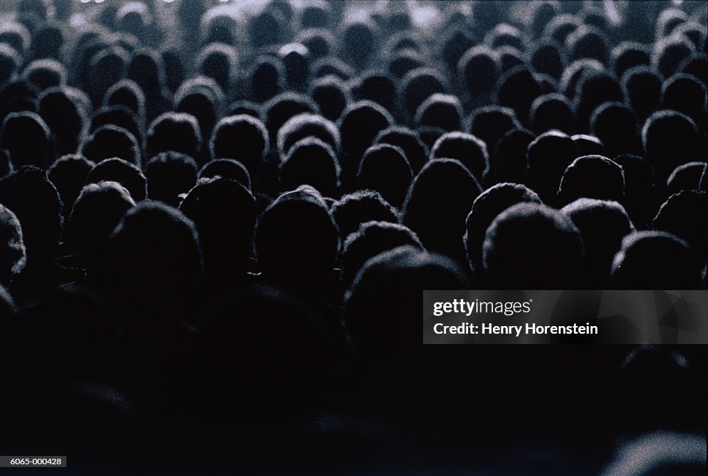 Concert Audience