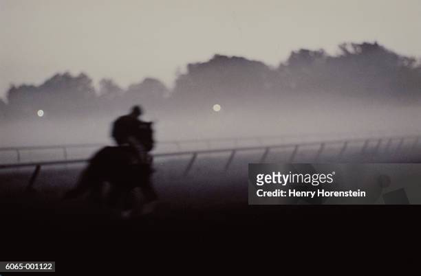 jockey on horse in fog - caballo de pura raza fotografías e imágenes de stock