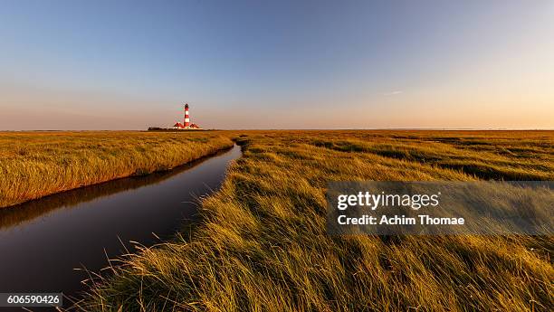 famous lighthouse westerheversand - national park wadden sea / northern germany - wattenmeer national park stock pictures, royalty-free photos & images