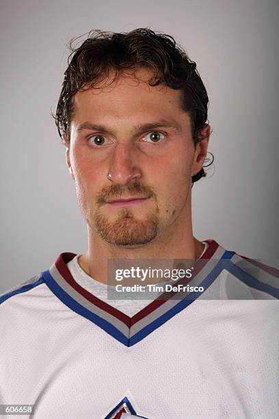 Forward Milan Hejduk of the Colorado Avalanche poses for a portrait during the 2001 NHL Challenge Series at the Globe Arena in Stockholm, Sweden....