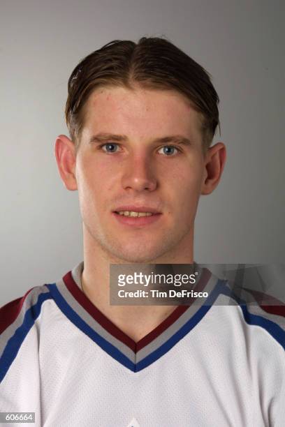 Goaltender David Aebischer of the Colorado Avalanche poses for a portrait during the 2001 NHL Challenge Series at the Globe Arena in Stockholm,...