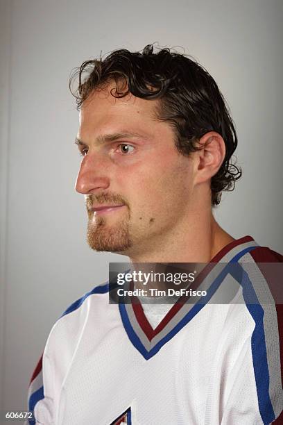 Forward Milan Hejduk of the Colorado Avalanche poses for a portrait during the 2001 NHL Challenge Series at the Globe Arena in Stockholm, Sweden ....