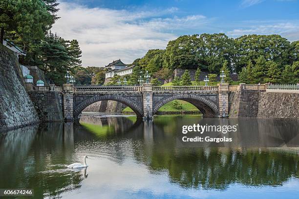 the imperial palace in tokyo, japan - royal parks stock pictures, royalty-free photos & images