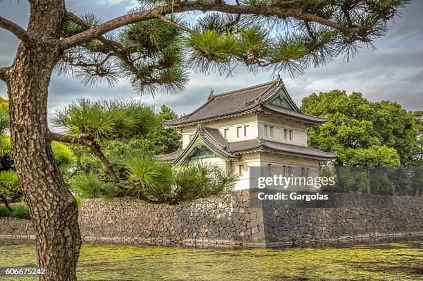 kaiserpalast ostgärten in tokio, japan - imperial palace tokyo stock-fotos und bilder