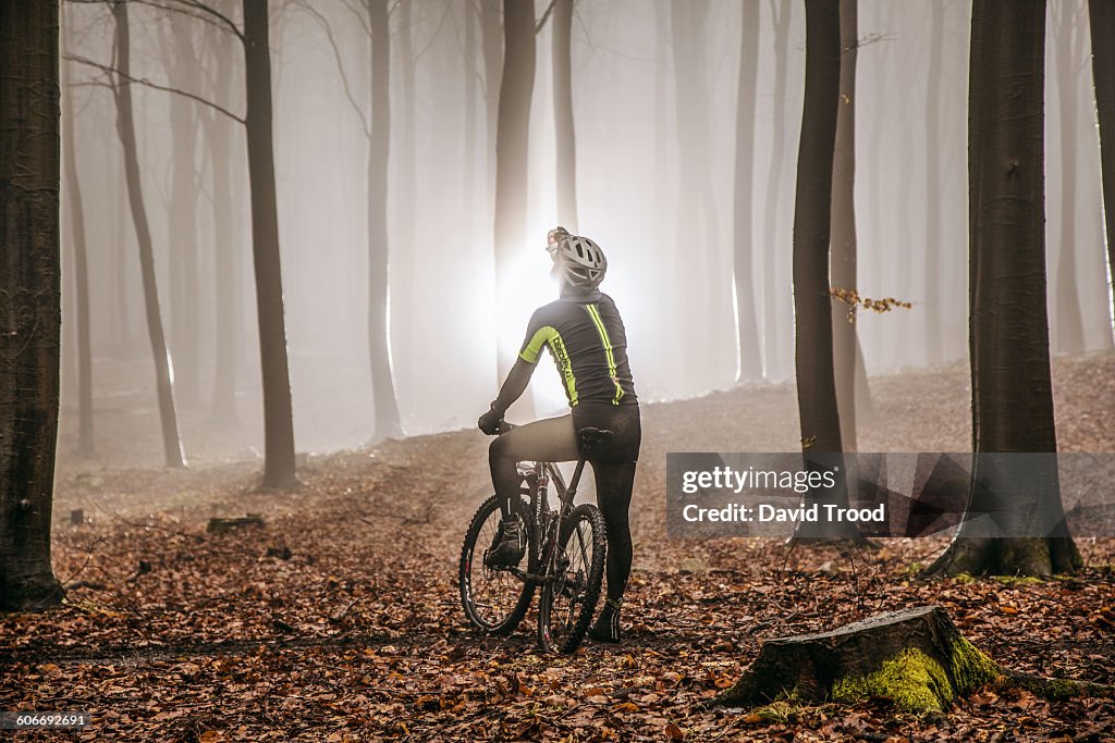 Mountain biker in misty forest