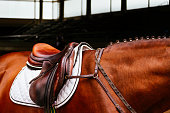 Leather saddle with the reins on a brown horse