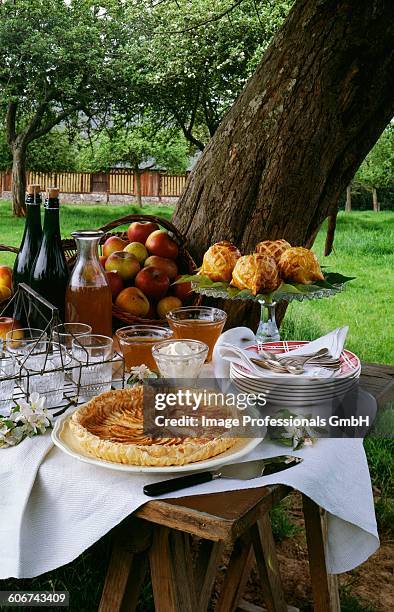Sample Table Image 12 Free Sample Table Stock Photos, High-Res Pictures, and Images ...