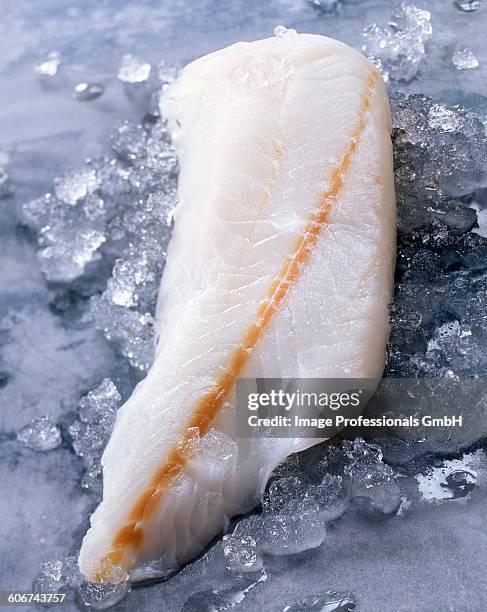 raw hake - frozen fish fillets stockfoto's en -beelden