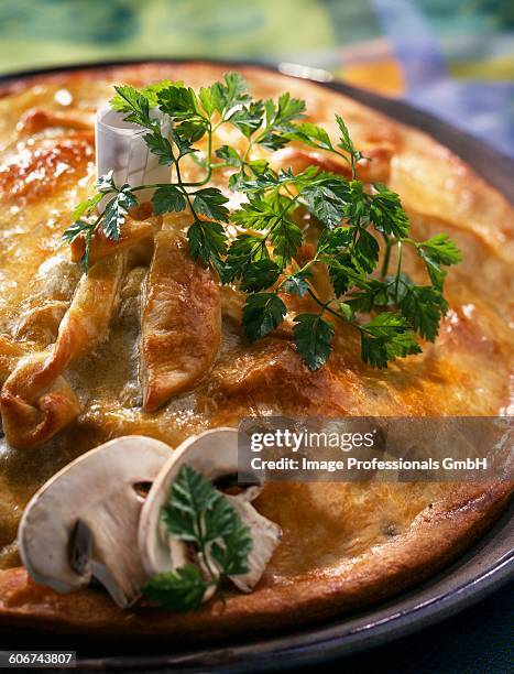 wild mushroom pie - mushroom pie stock pictures, royalty-free photos & images