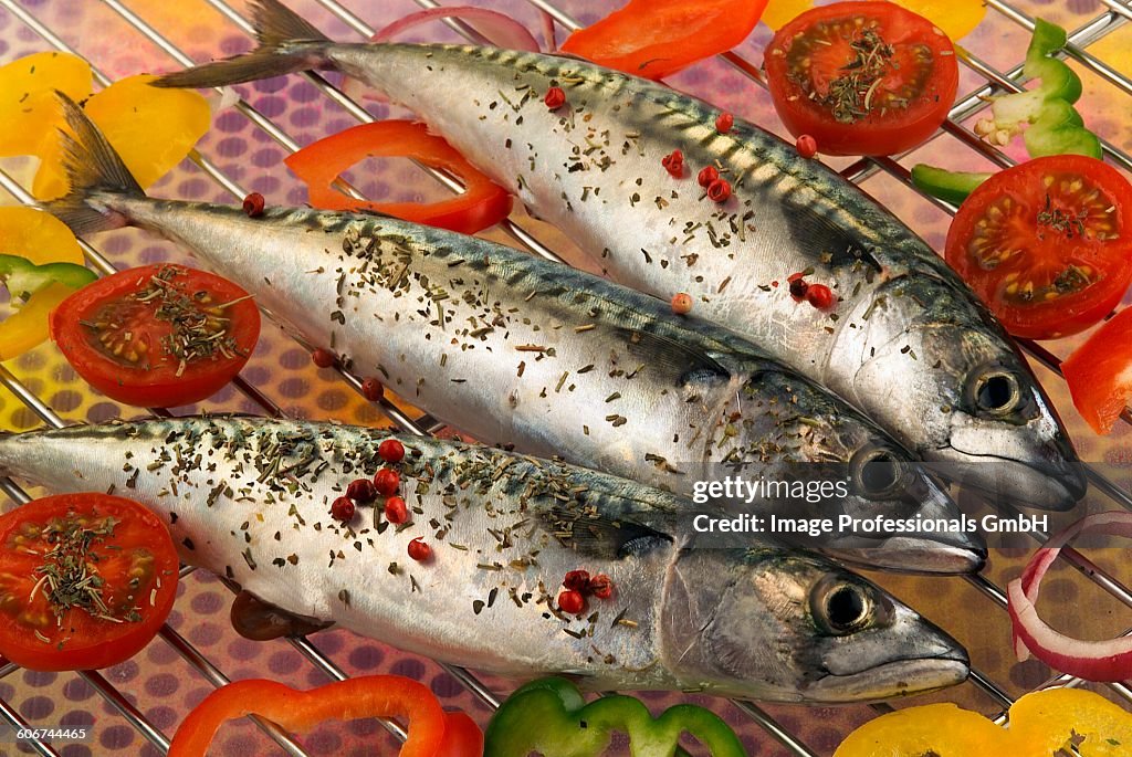 Mackerles Mackerels High-Res Stock Photo - Getty Images