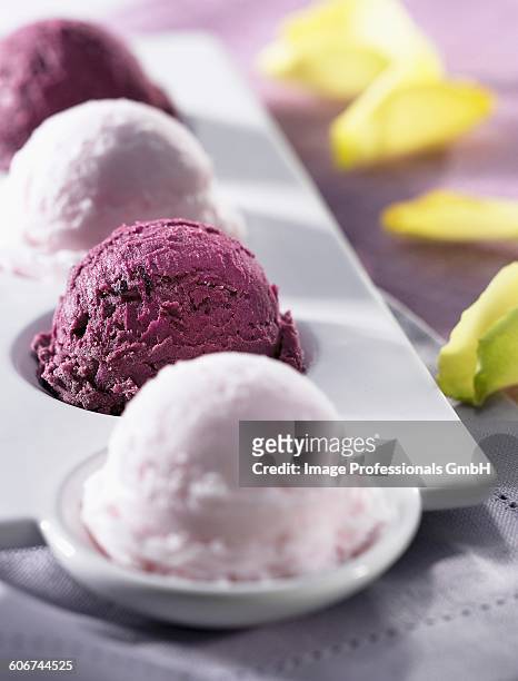 rose and blackcurrant sorbet (topic: ice cream) - cassis fruit stock pictures, royalty-free photos & images