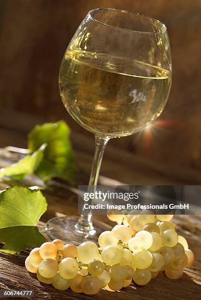 glass of white bourgogne wine - ブルゴーニュ　harvest wine ストックフォトと画像