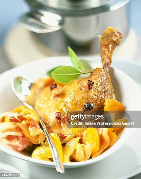 free-range leg of duck stew - free range ducks stock pictures, royalty-free photos & images