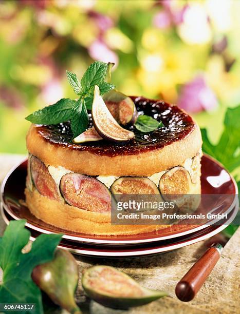 fig and banyuls cake - languedoc roussillon stock pictures, royalty-free photos & images