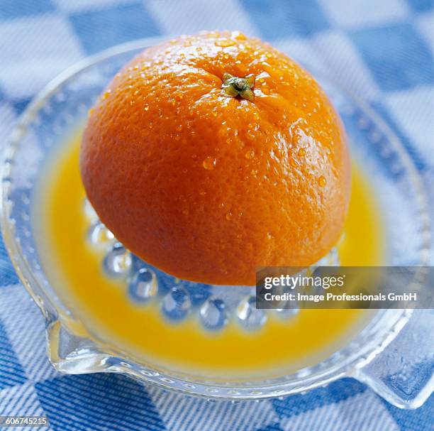 squeezing an orange - zitronenpresse stock-fotos und bilder